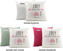 Coussin personnalisé bébé - Naissance Rose|Cadeaux.com Clearance