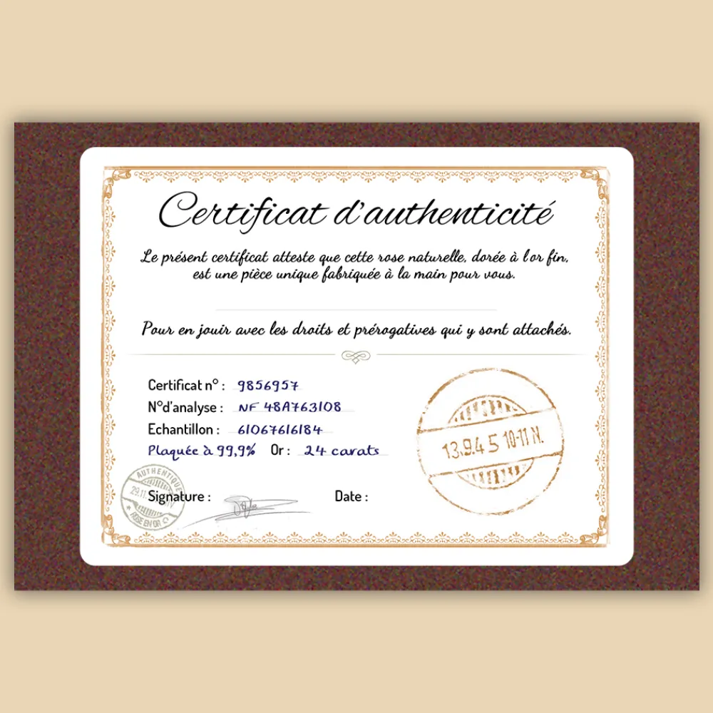 Grande rose en or dans son écrin personnalisable - Dessin au trait|Cadeaux.com Best