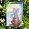 Lapin de Pâques en chocolat personnalisable|Cadeaux.com