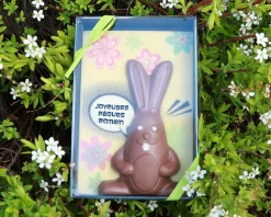 Lapin de Pâques en chocolat personnalisable|Cadeaux.com