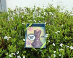 Lapin de Pâques en chocolat personnalisable|Cadeaux.com